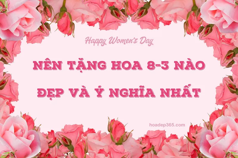 Nên tặng hoa gì ngày 8/3? Top 15 loài hoa 8/3 đẹp nhất 2026