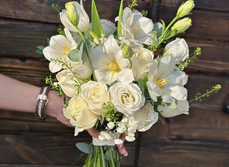 Hoa cưới tulip - Biểu tượng của tình yêu hoàn hảo và sự thịnh vượng