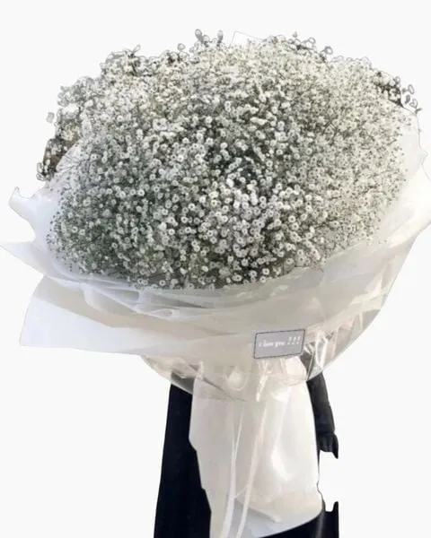 Baby's Breath - HBT25 - Hoa Sinh Nhật