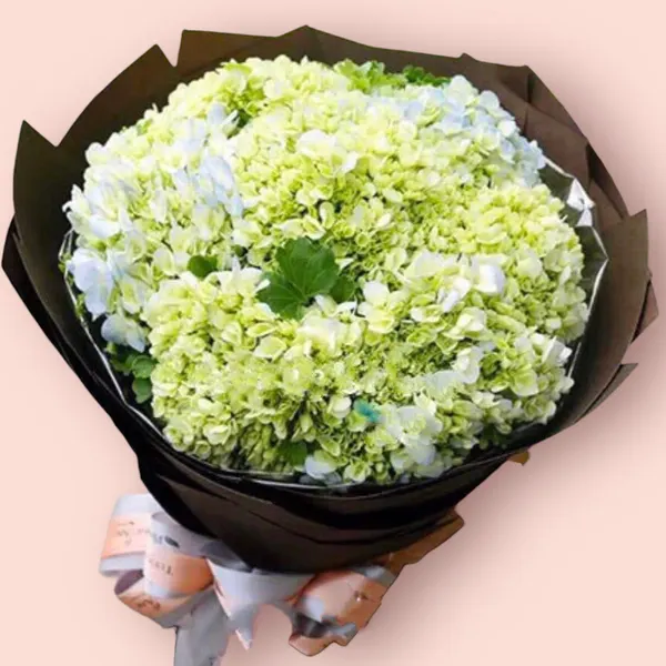 Bó Hoa Cẩm Tú Cầu - HBT51