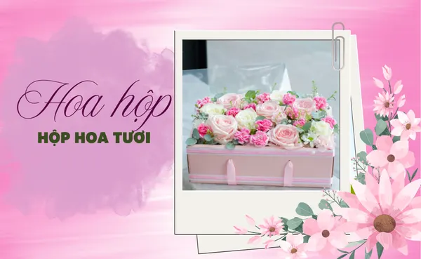 Hộp Hoa Tươi
