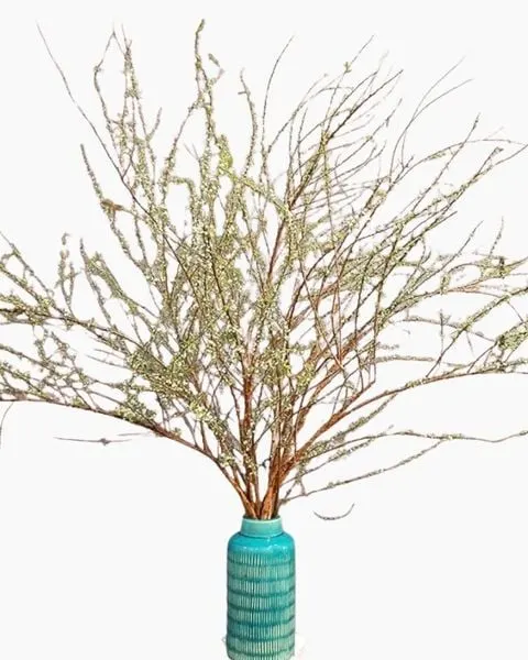 Spiraea Vase - HCB69 - Lunar New Year (Tet) Display Flowers