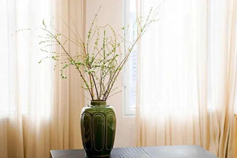 Cách cắm hoa Tuyết Mai đẹp sang phù hợp mọi không gian