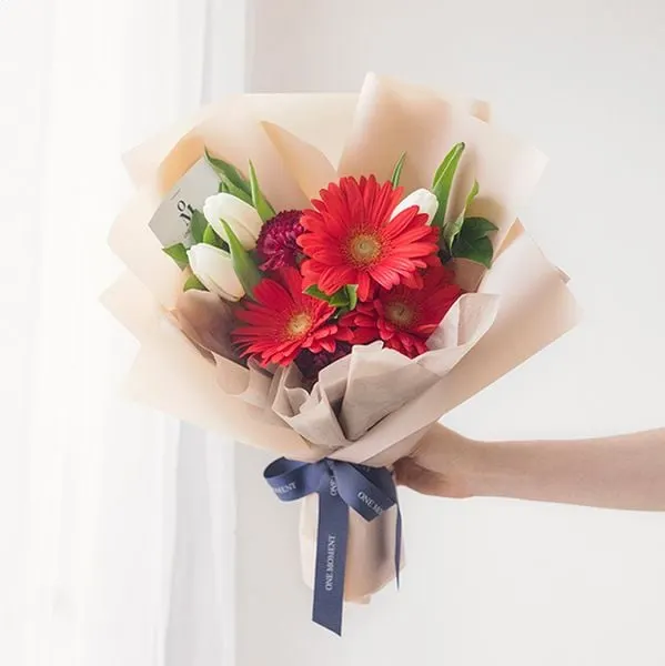 Hoa đồng tiền đỏ
