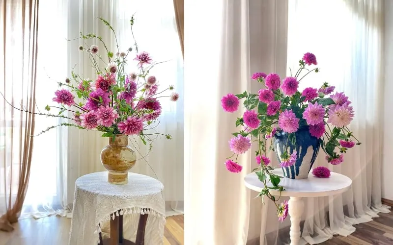 Mẫu cắm hoa thược dược trong bình tròn