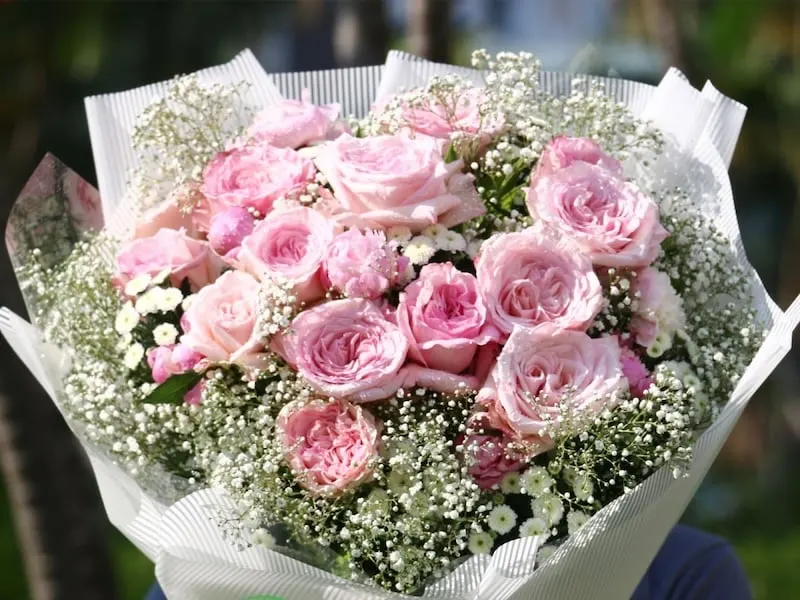 Bó hoa hồng David Austin không chỉ là một món quà, mà còn là lời chúc mừng sinh nhật tinh tế và đầy ý nghĩa