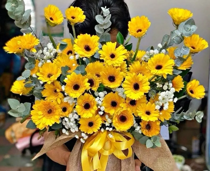 Mẫu cắm hoa đồng tiền vàng phối hướng dương