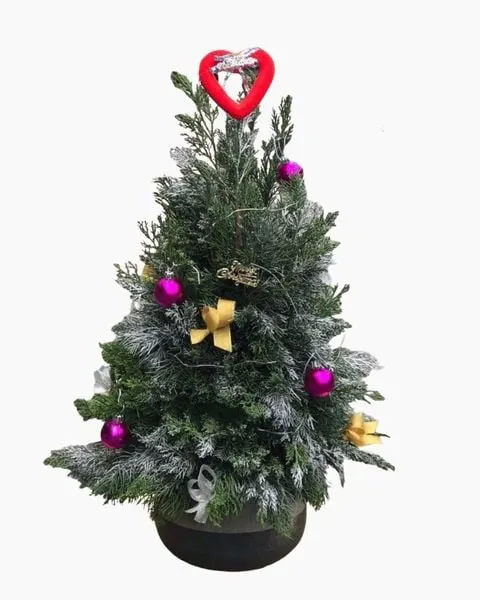 Hoa Christmas decorations