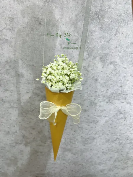  Bó Hoa Ốc Quế Baby - HBT81  