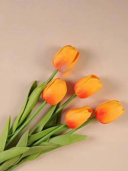 Hoa tulip màu cam là sự biểu trưng cho một tinh thần hùng hậu và sự kiên trung trong tình yêu.