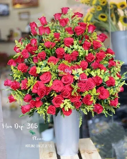 Ý nghĩa hoa Hồng Nhung đỏ có thể bạn chưa biết
