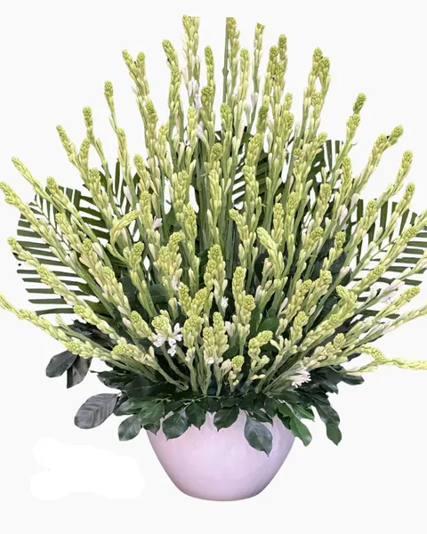 Tuberose and Greenery Vase - HCB82