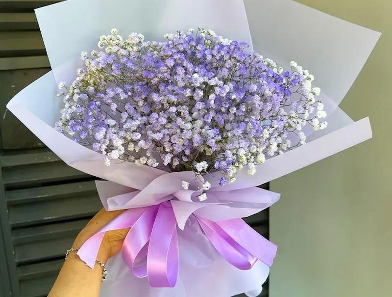 Bó baby trắng xen tím nhạt, biểu tượng của tình bạn giản dị nhưng sâu sắc.