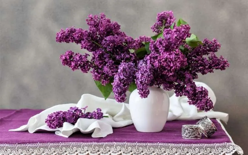 Hoa tử định hương tượng trưng cho sự động đầu đời, cùng với những cảm xúc xao xuyến của tình yêu
