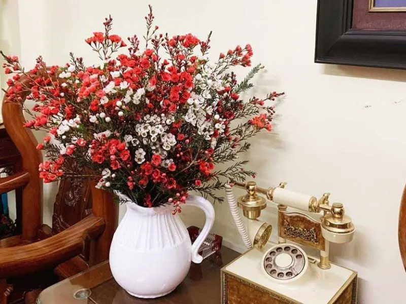 Hoa thanh liễu: Ý nghĩa, cách trồng và cắm hoa thanh liễu đẹp