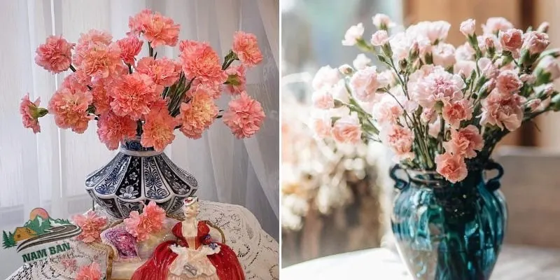 Cách cắm hoa cẩm chướng để bàn đơn giản