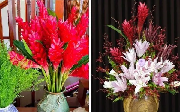Các cách cắm hoa Hạnh Phúc đẹp, ấn tượng và sáng tạo tại nhà