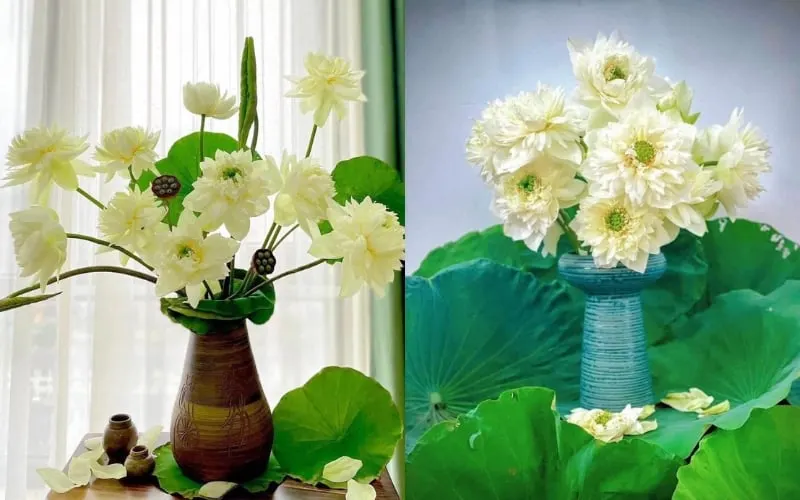 Hình ảnh sen mây xanh