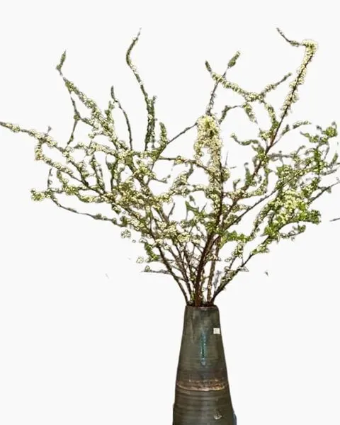 Spiraea Vase - HCB66 - Lunar New Year (Tet) Display Flowers