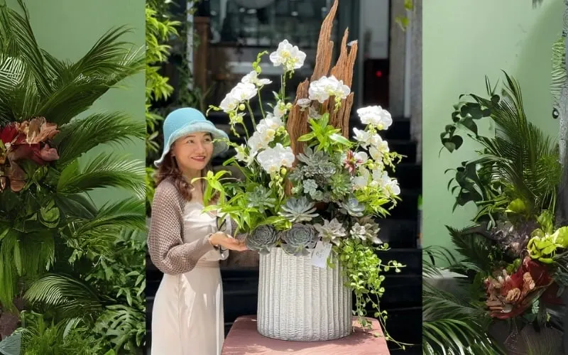 Chậu hoa lan trắng mix sen đá phù hợp tặng sinh nhật cho sếp nữ