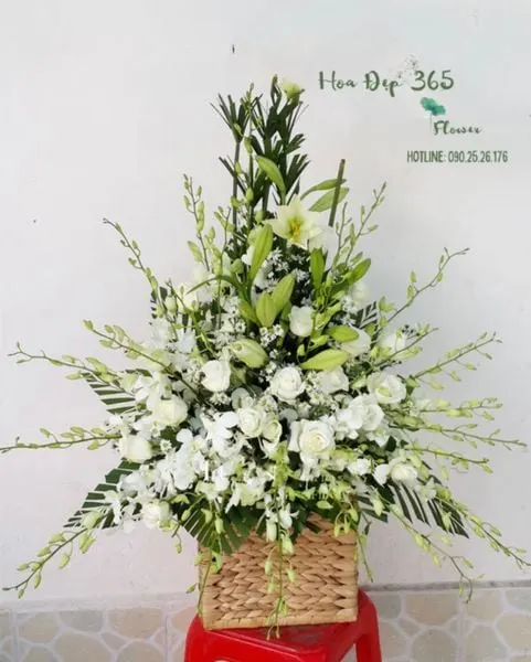 Hoa Lan trắng có ý nghĩa gì? Tượng trưng cho điều gì?