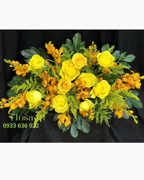  Sắc Vàng Tương Tư - Ovan 27 