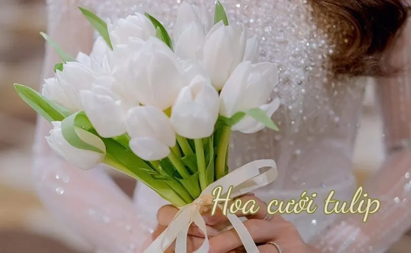 Hoa Cưới Tulip: 99+ Mẫu bó hoa cưới cầm tay tulip đẹp nhất và ý nghĩa