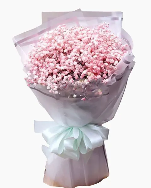 Pink Baby's Breath Bouquet - HBT10 - 20/11 Vietnam Teacher's Day