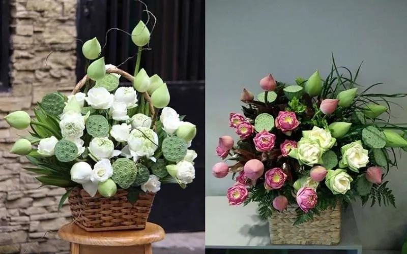 Nên chọn những nụ hoa sen còn khép kín nếu muốn hoa nở lâu hơn và giữ vẻ đẹp cho không gian nhà trong nhiều ngày