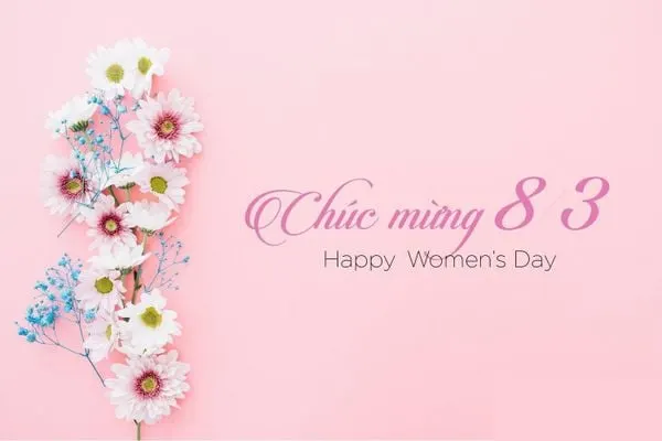 Câu chúc 8/3 ý nghĩa, hài hước