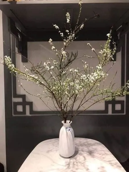bình sử cắm hoa tuyết mai