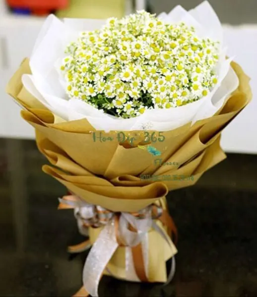 Hoa cúc tana nhỏ nhắn và thuần khiết