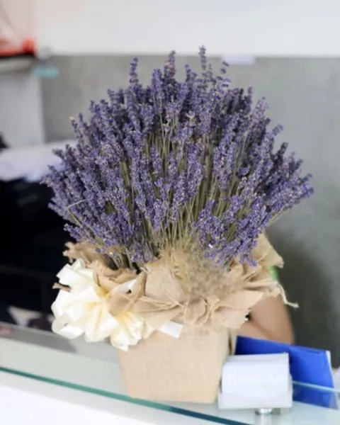  Hộp Hoa Lavender - LVD02 