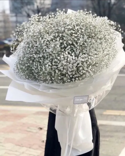 Baby's Breath - HBT25 - Hoa Sinh Nhật