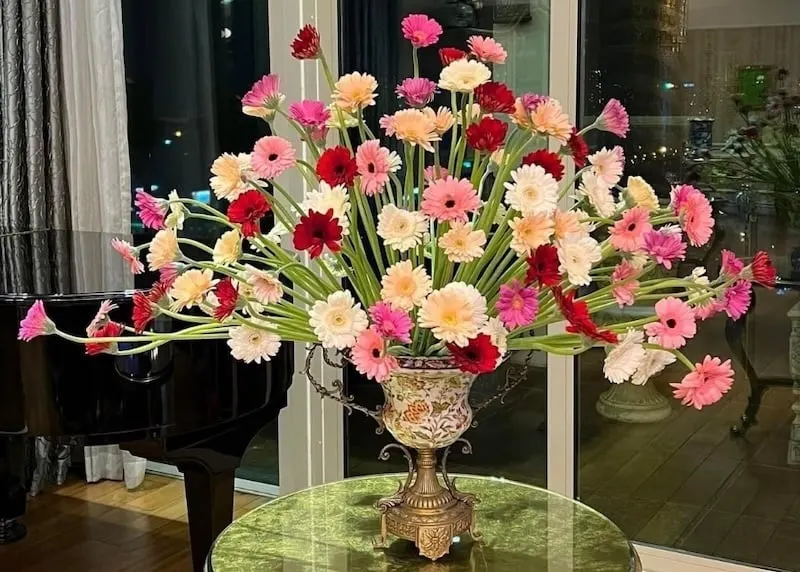 Mẫu cắm hoa đồng tiền nghệ thuật
