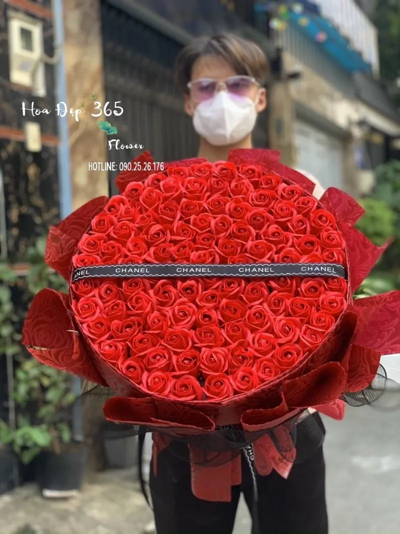 Ý nghĩa hoa Hồng Nhung đỏ có thể bạn chưa biết