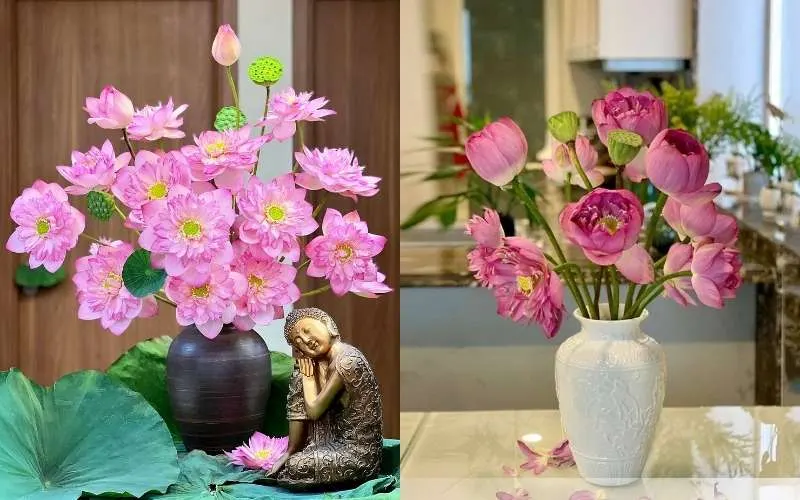 Hoa sen được cắm trong bình gốm tròn tạo cảm giác sang trọng phù hợp cho không gian phòng khách