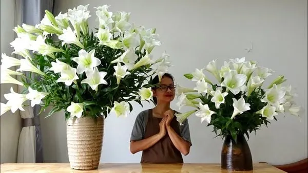 hoa loa kèn