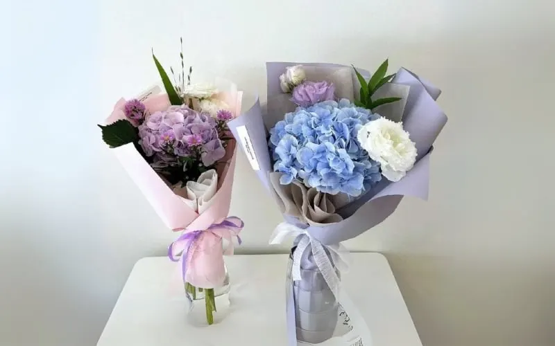 Mang biểu tượng của lòng biết ơn và sự chân thành, cẩm tú cầu là loài hoa sinh nhật thích hợp dành tặng gia đình