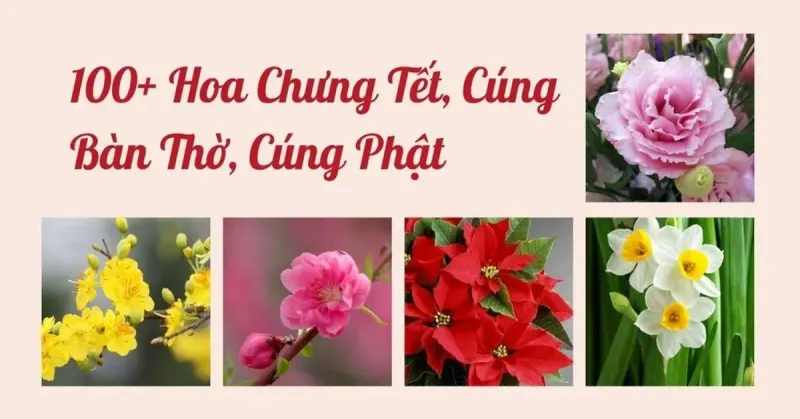 100+ Hoa Chưng Tết, Cúng Bàn Thờ, Cúng Phật Đón Tết Nguyên Đán 2026