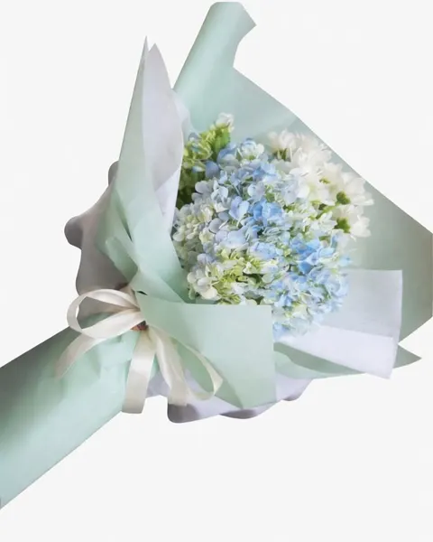 Under The Blue Sky - HBT53 - Flowers for 20/11 - Hydrangea