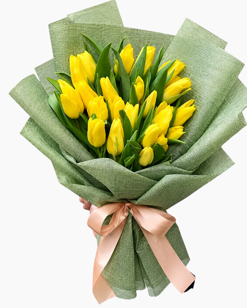 :  花束 Tulip - HBD387 