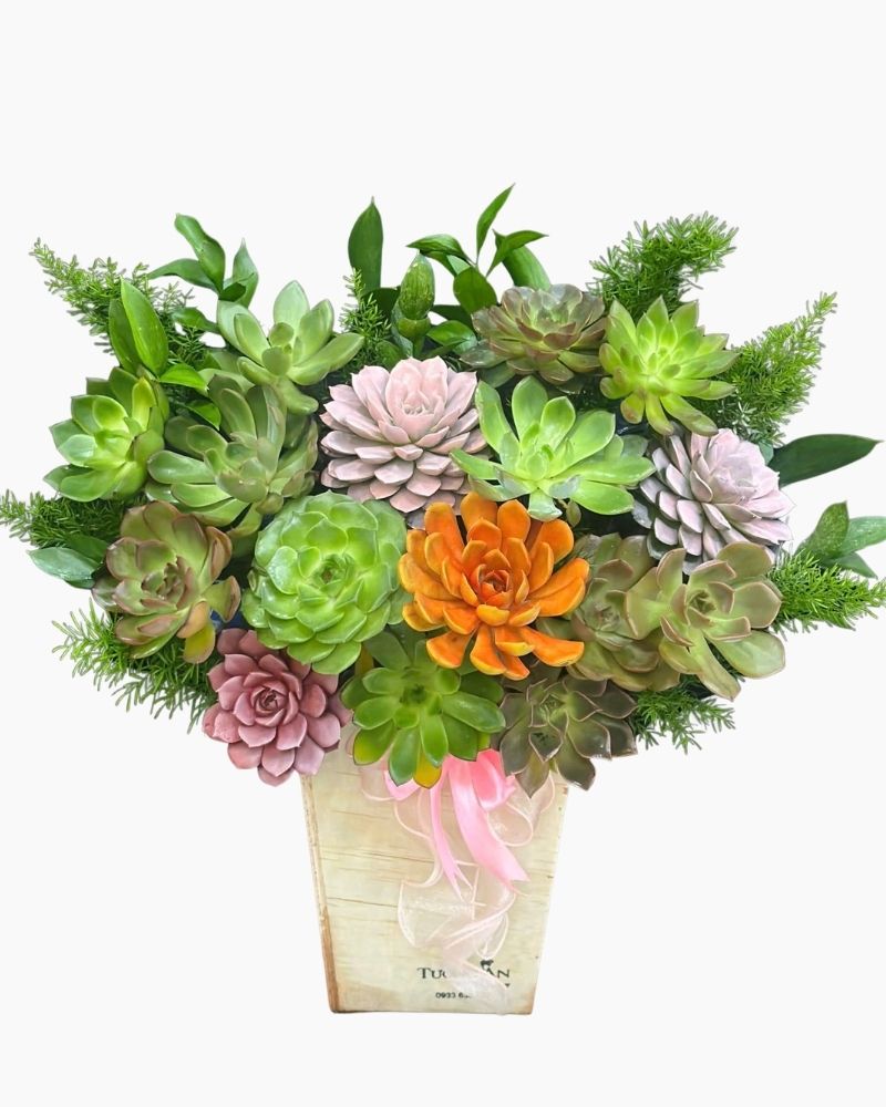: Chậu Sen Đá Vườn Xanh Thịnh Vượng - SD09