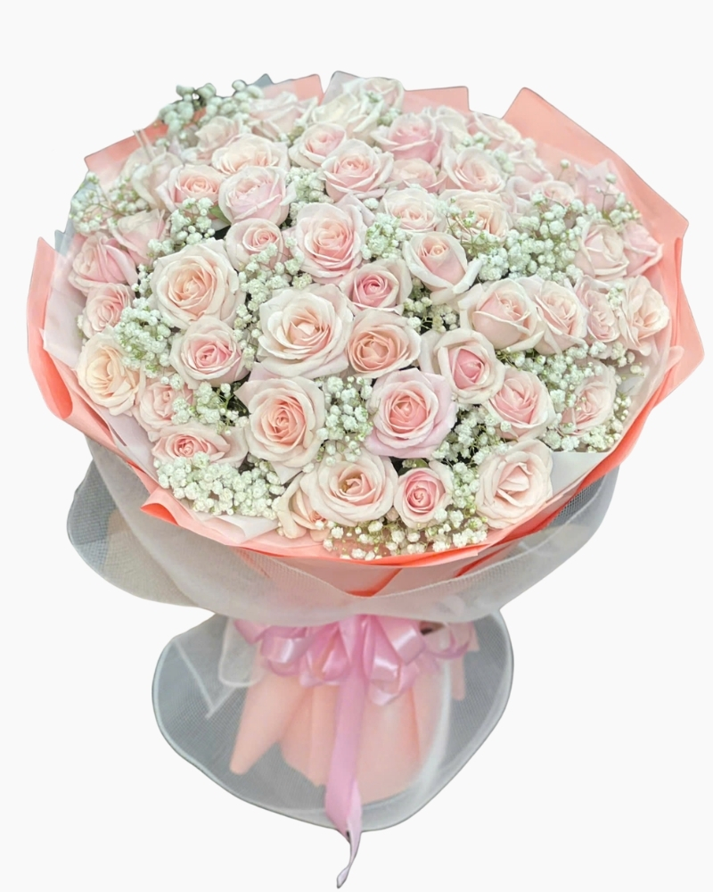 :  花束 Khúc Nhạc Yêu Thương - HBT142 