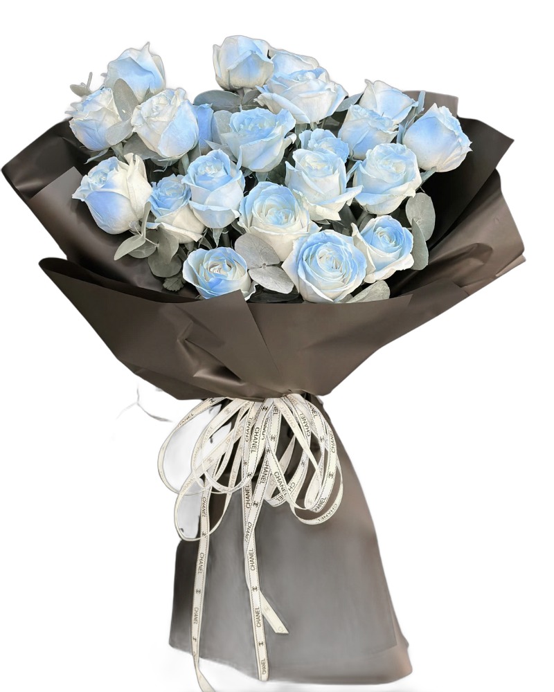 Hoa Bó Dài: Bó hoa hồng Lam Mộng - Hoa 20/10 - HBD291