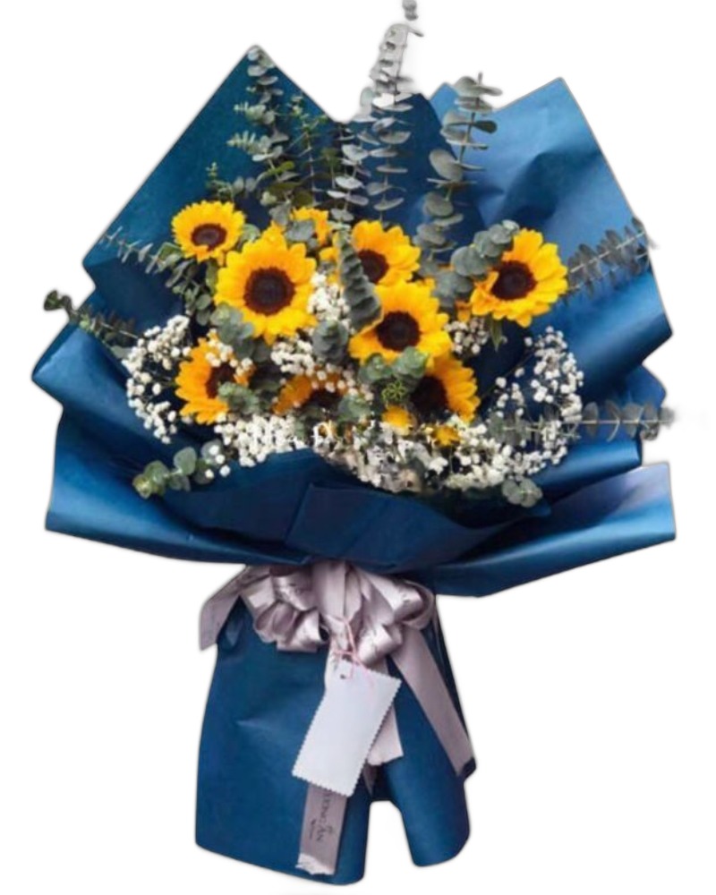 Hoa Bó Dài: Nắng Sớm - HBD172
