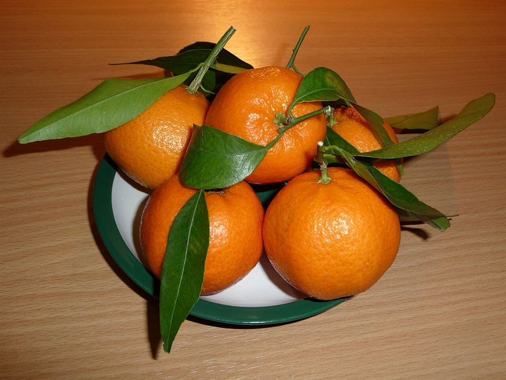 Quất Cảnh