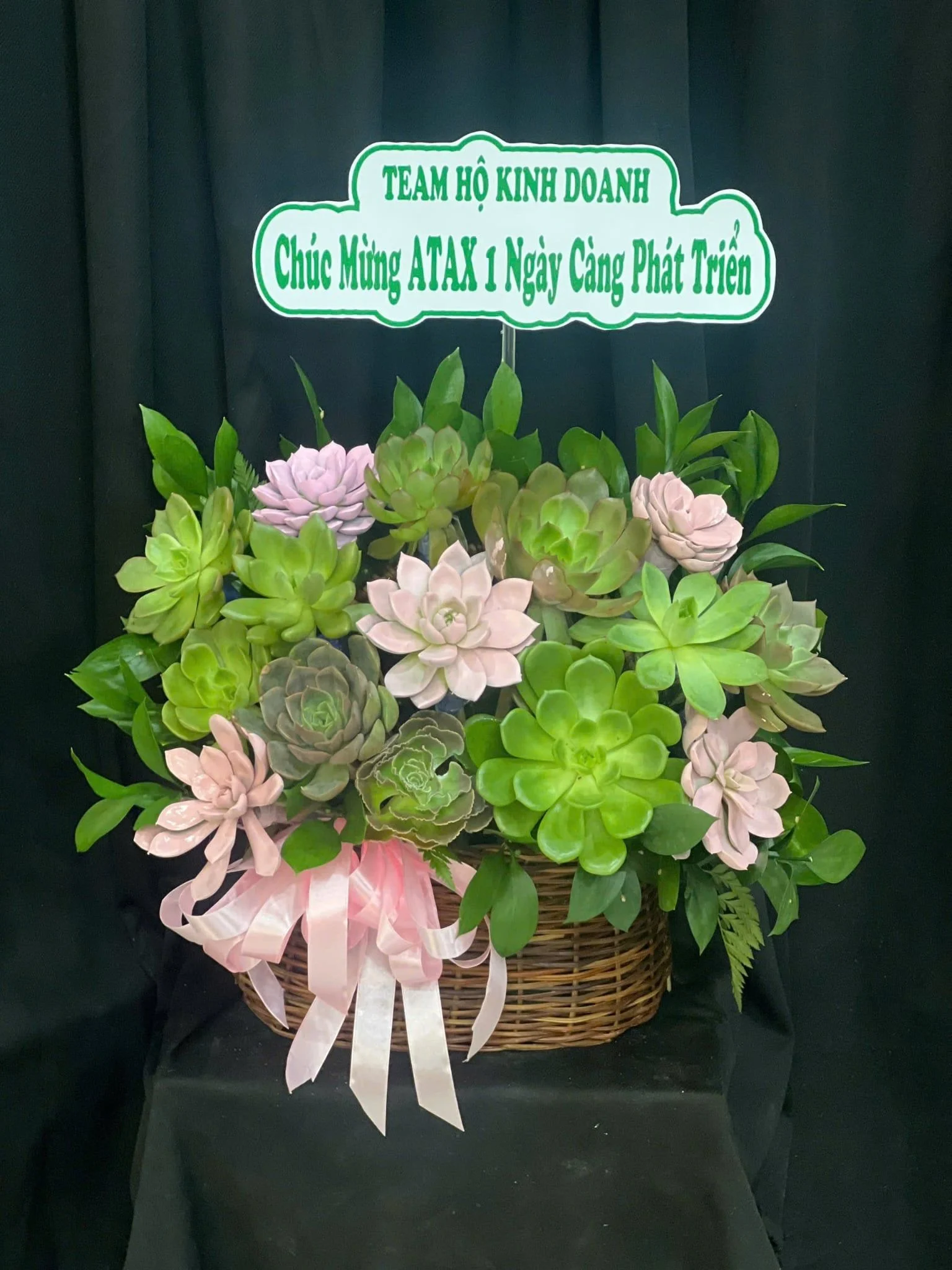 : Chậu Sen Đá Xuân Xanh Viên Mãn - SD13