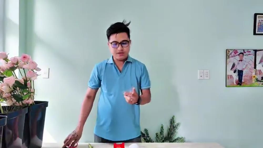 Bước 2: Cắt dây kiến