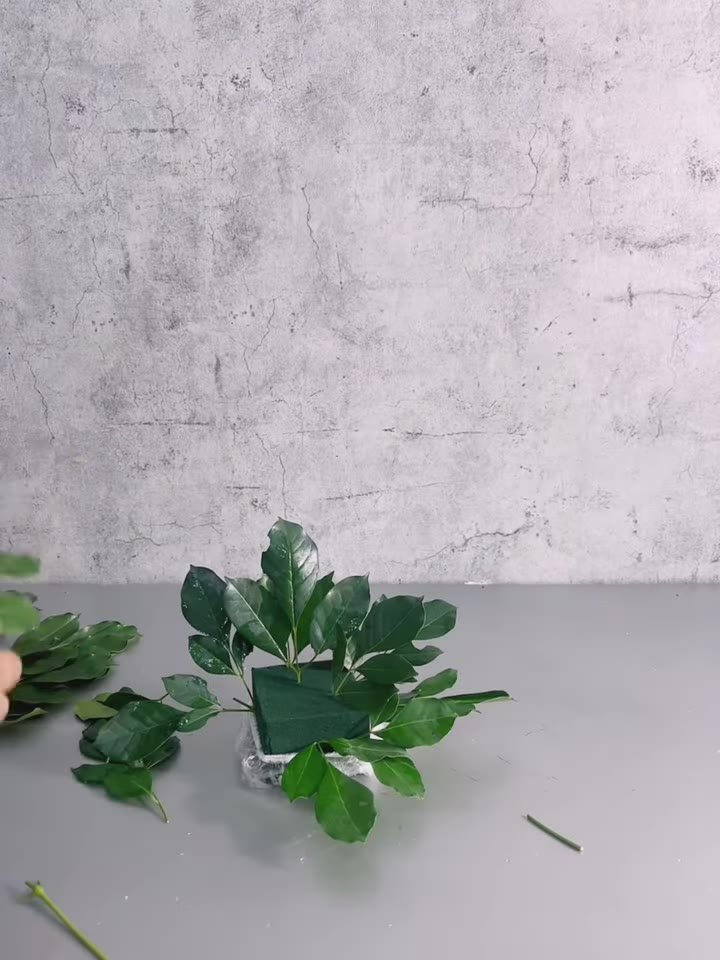 Bước 2: Chèn lá nền